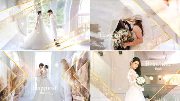 Elegant Particle Wedding Slideshow - VideoHive 31687220