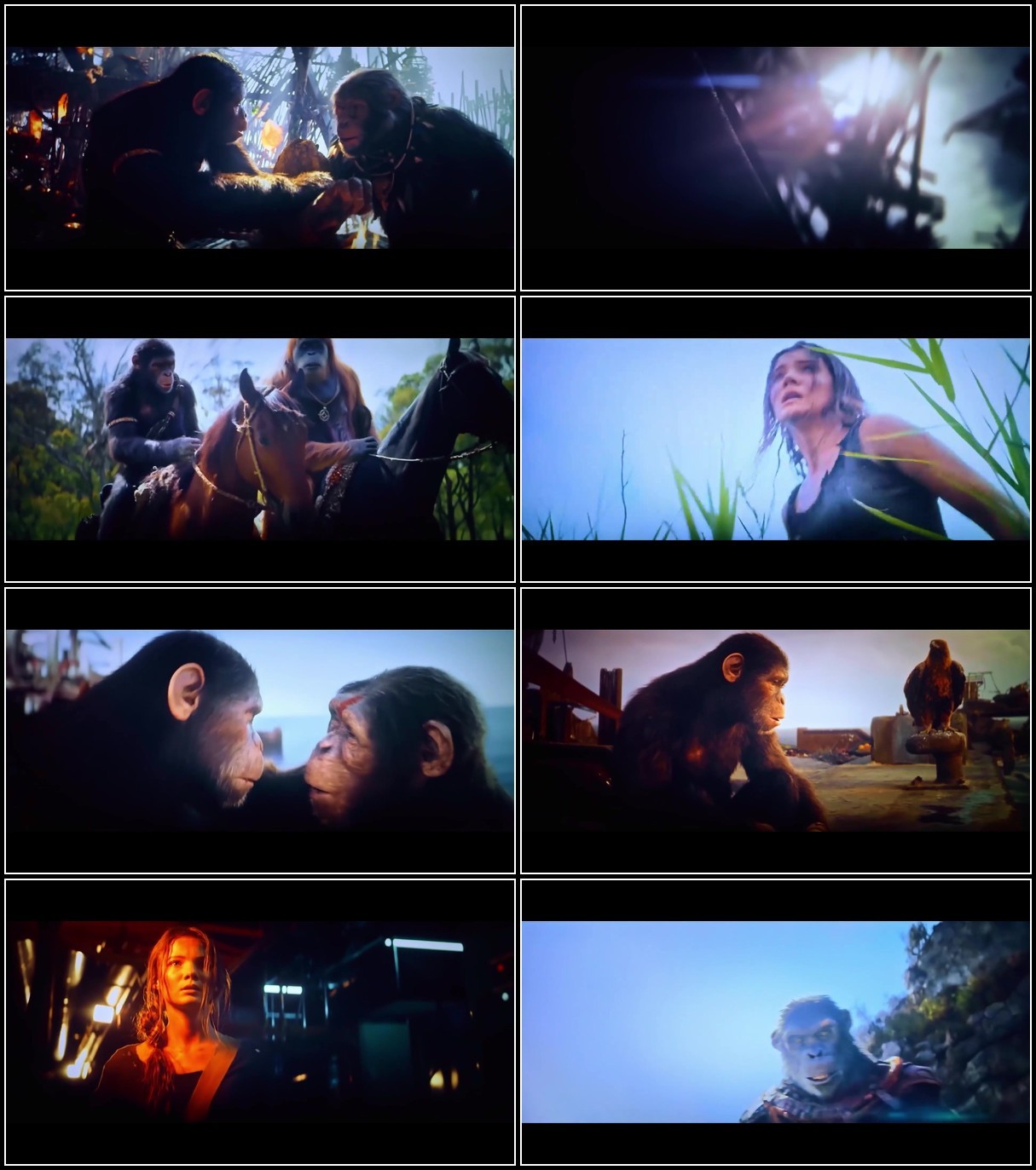 IYlCE8w2 o - Kingdom of The Planet of The Apes (2024) 1080p V3 Cam X264 COLLECTIVE