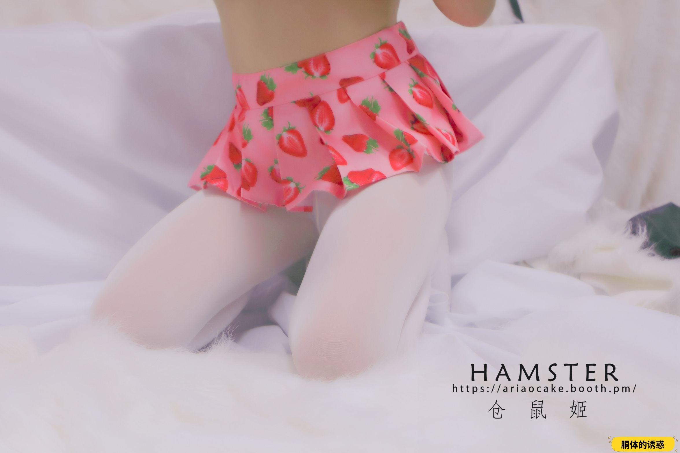 HAMSTERS 仓鼠姬 - NO.005 VOL.02 居家女友2 [34P-38MB]