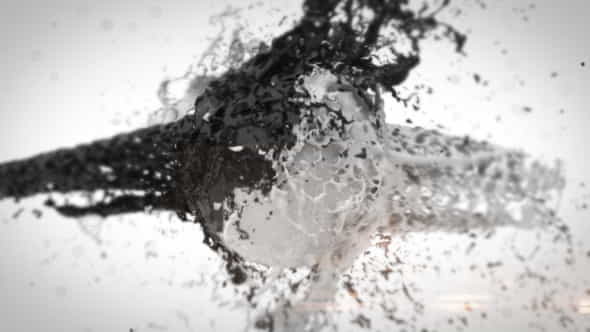 BlackNWhite Liquid Logo Reveal - VideoHive 10803632