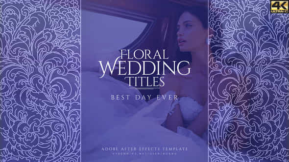 Wedding Titles - VideoHive 35979351