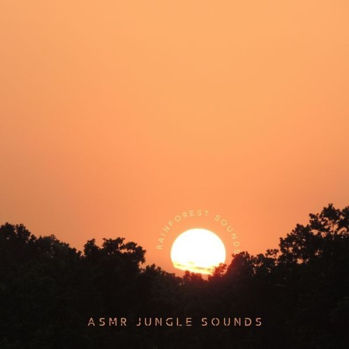 ASMR Jungle Sounds - Rainforest Sounds - 2022