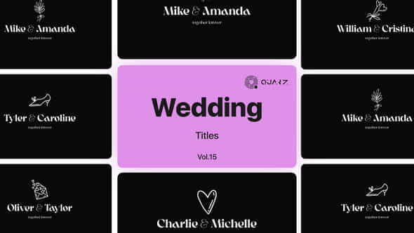 Wedding Titles Vol 15 - VideoHive 48928957