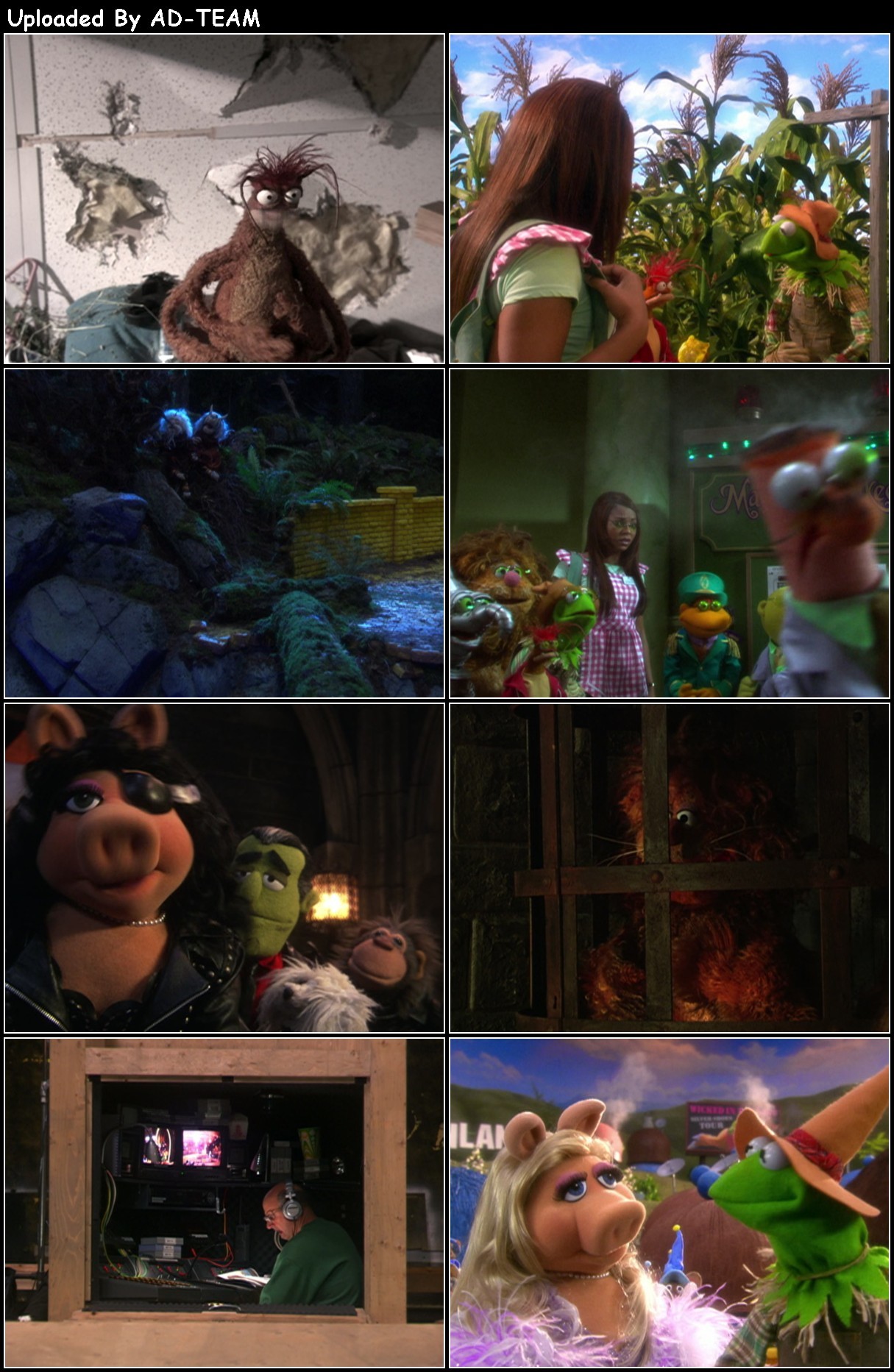 The Muppets Wizard of Oz 2005 1080p WEBRip x265-RARBG X2a4GCKu_o