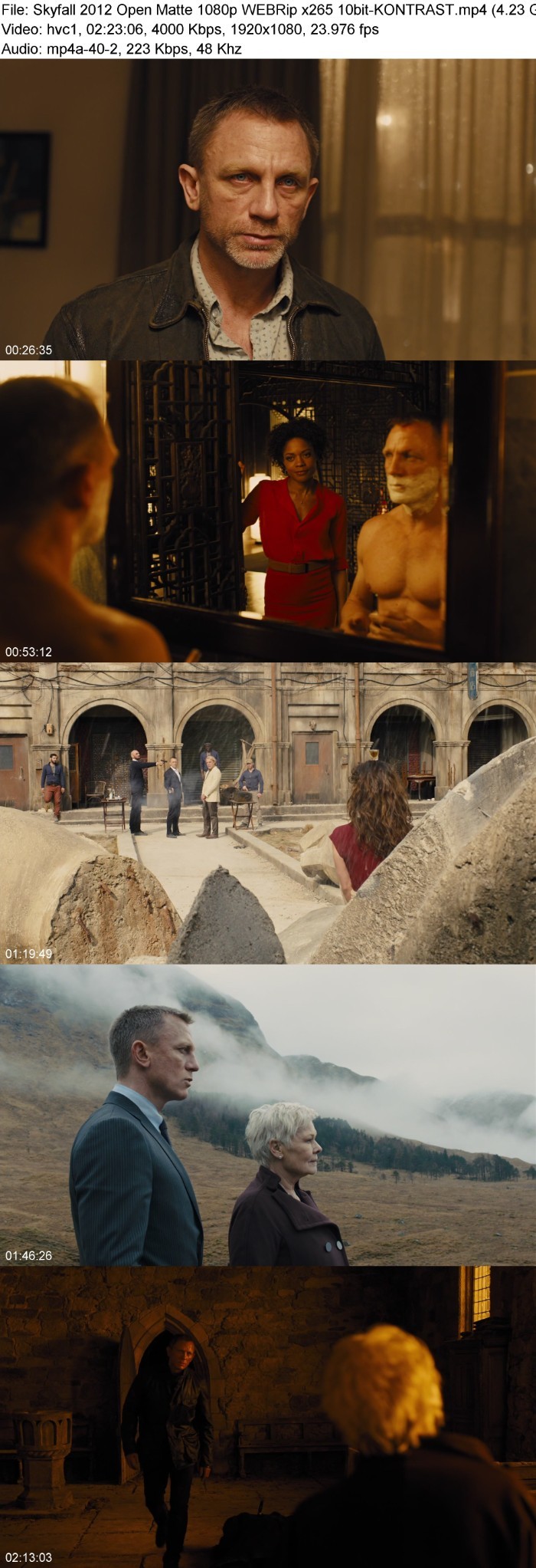 Skyfall (2012) Open Matte 1080p WEBRip x265 10bit-KONTRAST XY5a8jzT_o