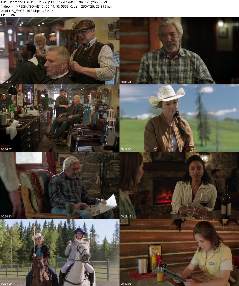 Heartland CA S18E04 720p HEVC x265-MeGusta