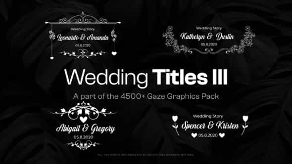20 Wedding Titles - VideoHive 48108344