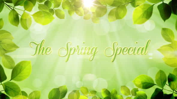 The Spring Special - Promo - VideoHive 4437773