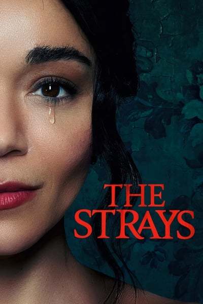 The Strays (2023) 1080p NF WEBRip DDP5 1 Atmos x264-WDYM