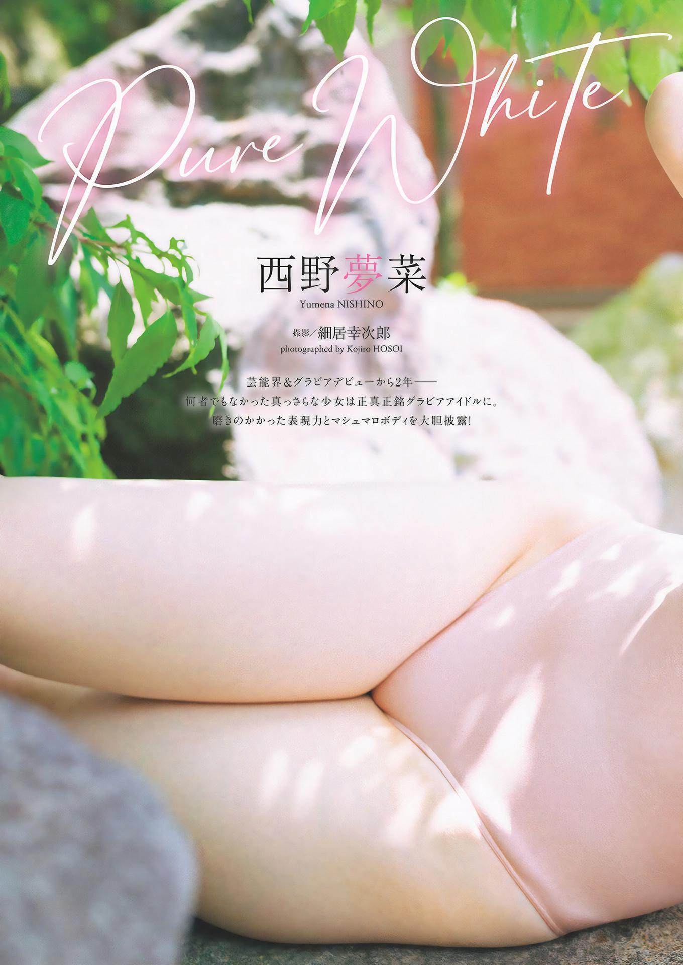 Yumena Nishino 西野夢菜, Weekly Playboy 2024 No.49 (週刊プレイボーイ 2024年49号(1)