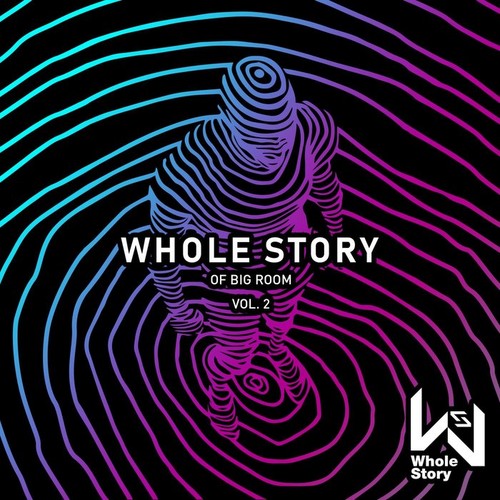 VA - Whole Story Of Big Room Vol. 2 (2019)