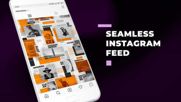 Seamless Instagram Feed - VideoHive 30251473