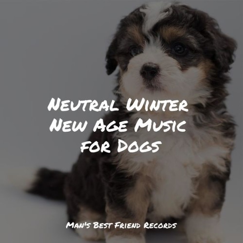 Music For Dogs Peace - Neutral Winter New Age Music for Dogs - 2022