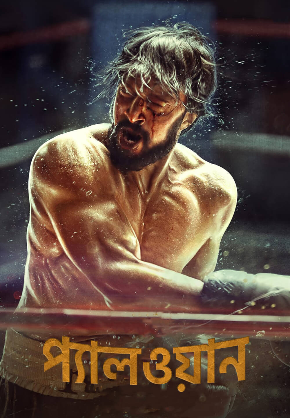 Pailwaan 2024 Bengali Dubbed Movie 720p WEBRip 1Click Download