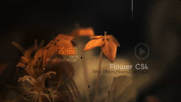 Flowers CS4 - VideoHive 516680