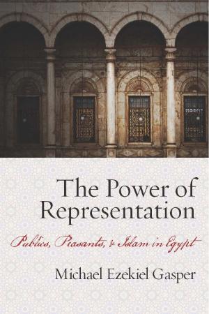 The power of representation publics, peasants, and Islam in Egypt by Gasper, Micha...