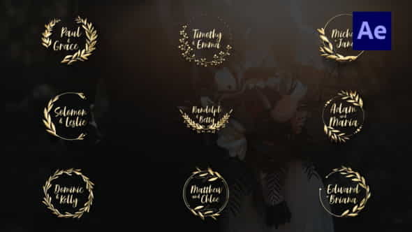 Gold Wedding Titles |After Effects - VideoHive 35835681