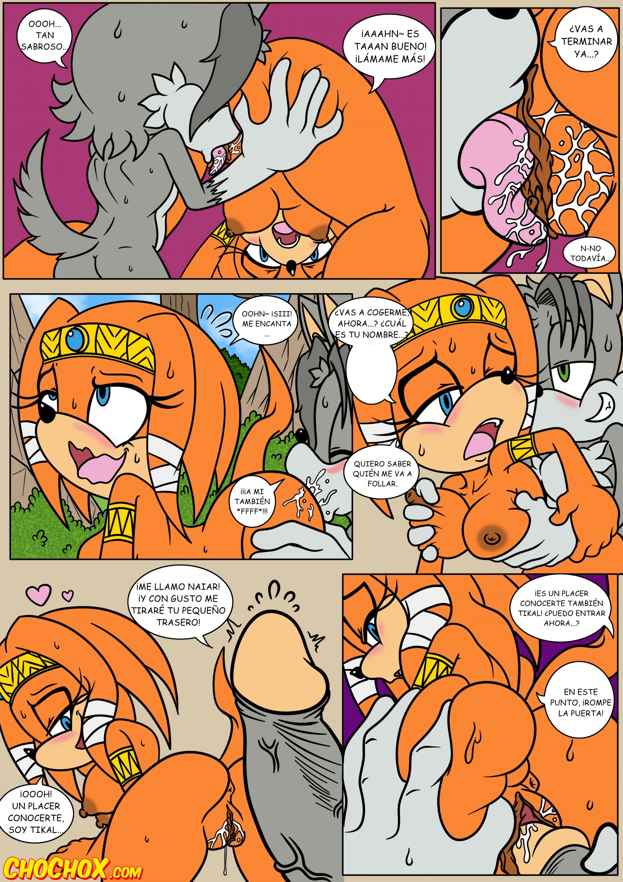 Naiars Misadventures 1 – Tikal the Echidna - 3