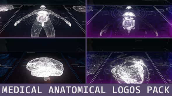 Medical Anatomical Logos - VideoHive 45237295