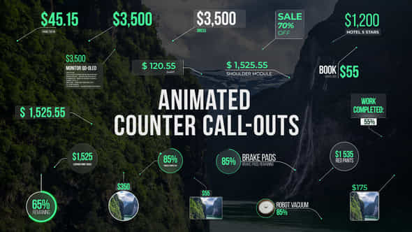 Animated Counter Callouts - VideoHive 58612155