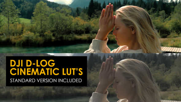 Dji Dlog And Standard Color Luts - VideoHive 48915276