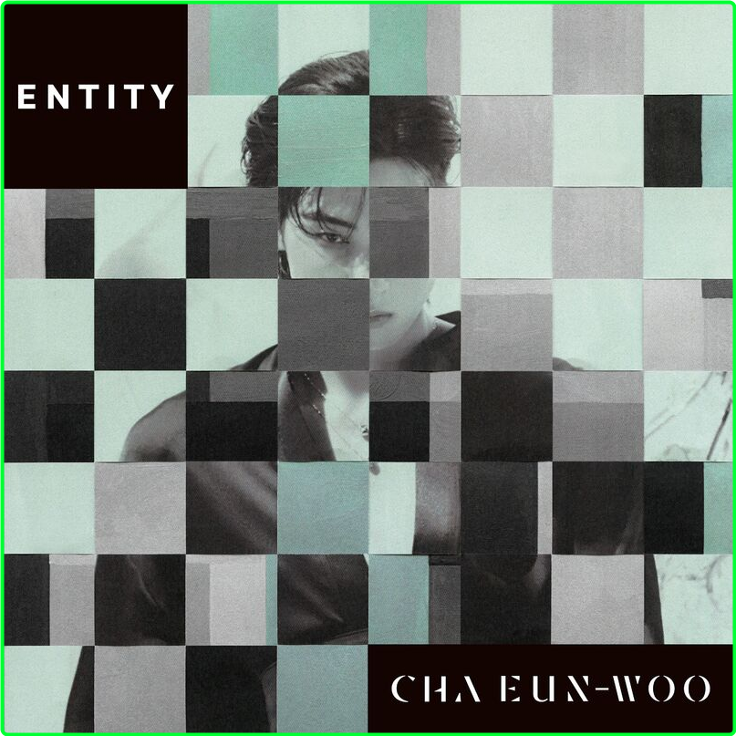 Cha Eun Woo ENTITY (2024) [320 Kbps] Ds1hFbj9_o