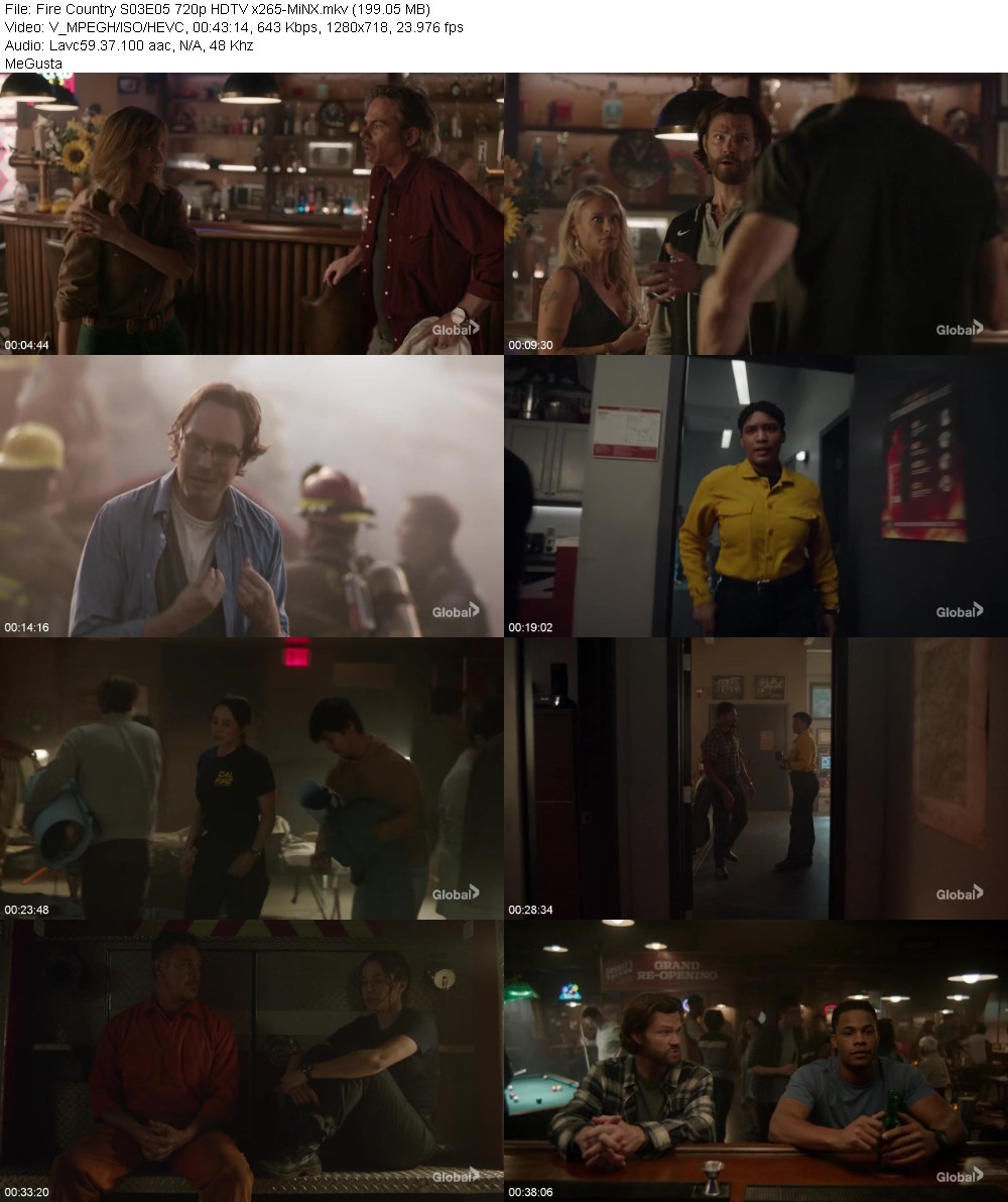 Fire Country S03E05 720p HDTV x265-MiNX