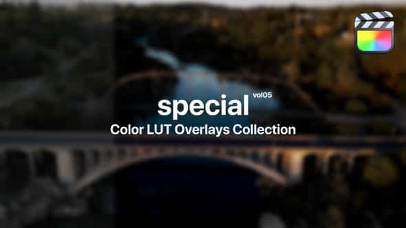 Special Color Presets - VideoHive 48290602