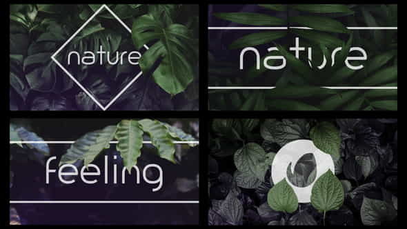 Nature Logo Intro - VideoHive 36275536