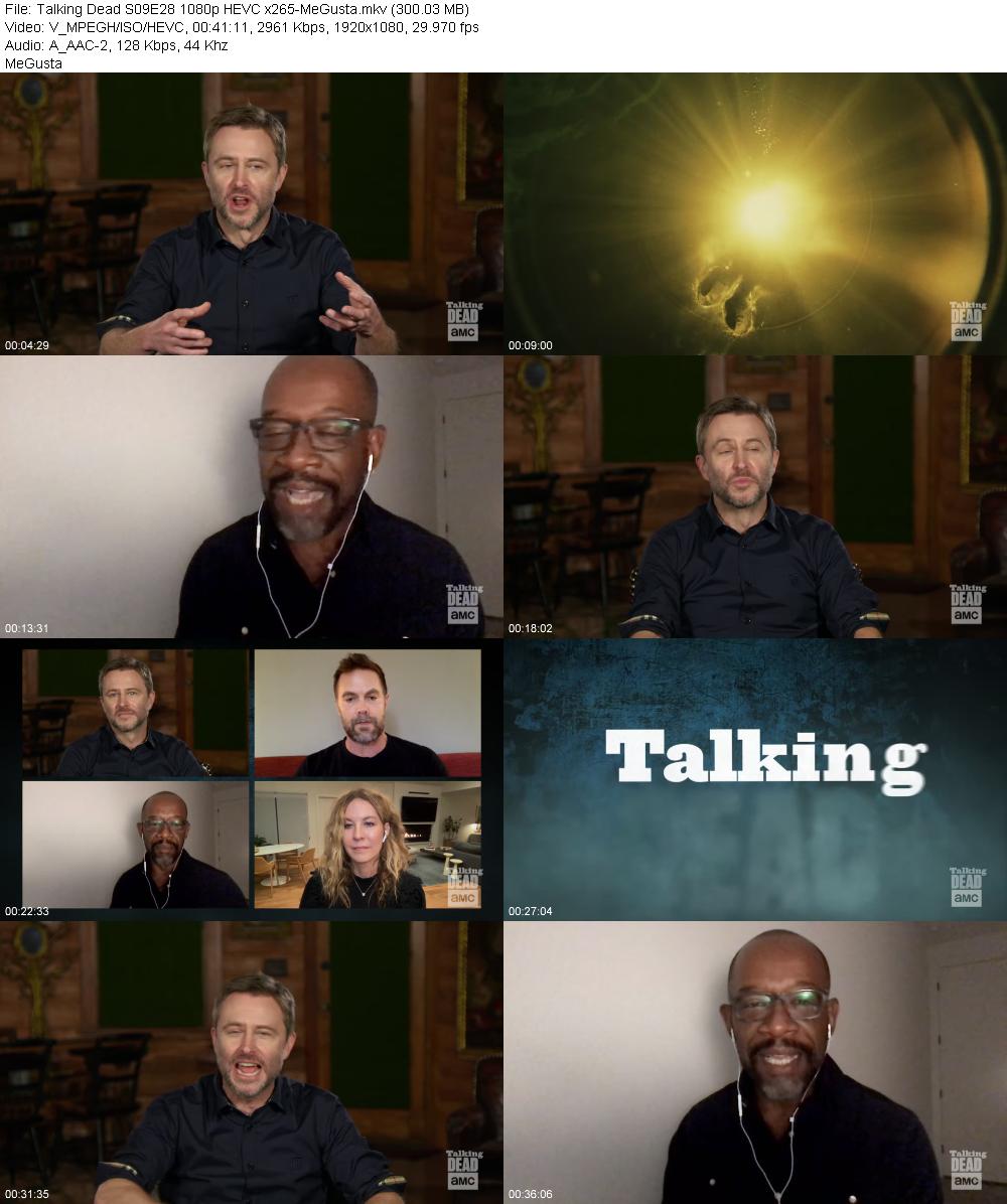 Talking Dead S09E28 1080p HEVC x265