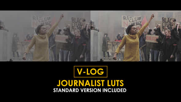 Vlog Journalist And Standard Luts - VideoHive 51434582