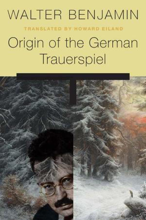 Benjamin, Walter - Origin of the German Trauerspiel (Harvard, 2019)