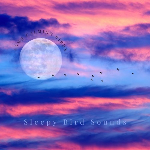 Sleepy Bird Sounds - ASMR Calming Birds - 2022