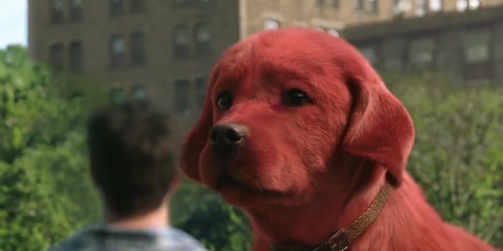 Clifford the Big Red Dog 2021 HDRip XviD AC3-EVO Clifford the Big Red Dog 2021 HDRip XviD AC3-EVO