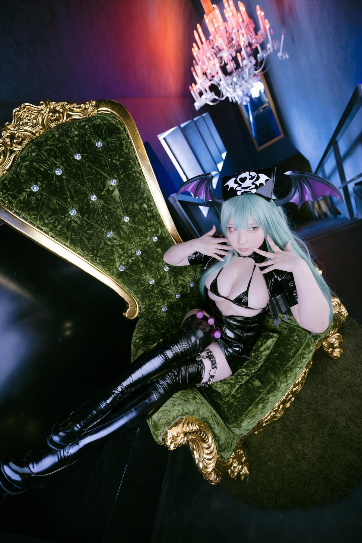 Cosplay SAKUサク Love builder Darkstalkers Set.01(28)