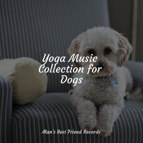 Dog Music Club - Yoga Music Collection for Dogs - 2022