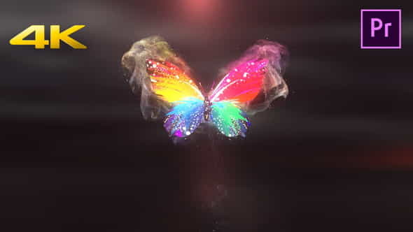 Colorful Butterfly Logo Reveal 4k- - VideoHive 29085233