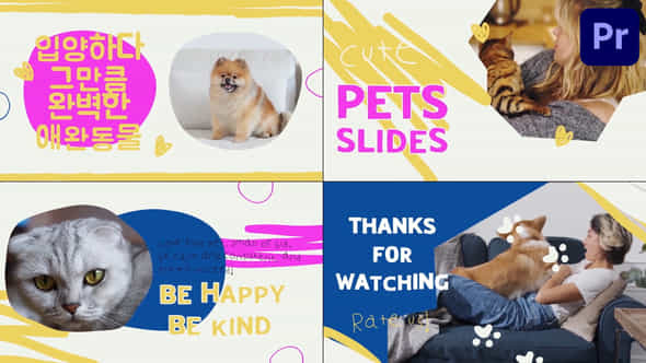 Pets Slides - VideoHive 48337658