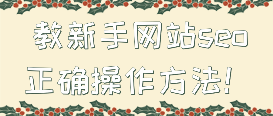 教新手网站seo正确操作方法！