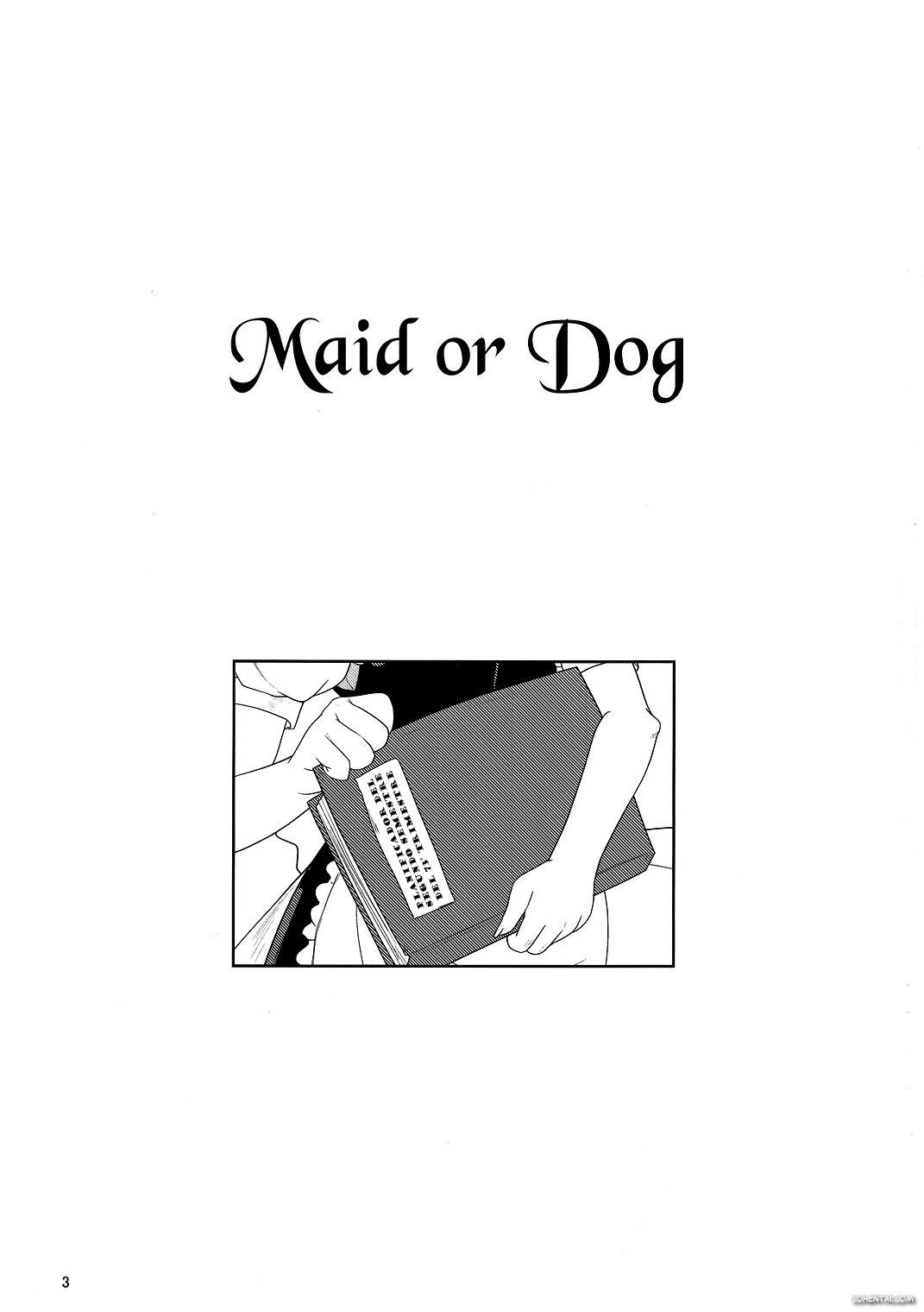 Maid or Dog (Touhou Project)