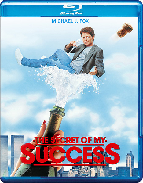    / The Secret of My Success (1987/BDRip/HDRip)