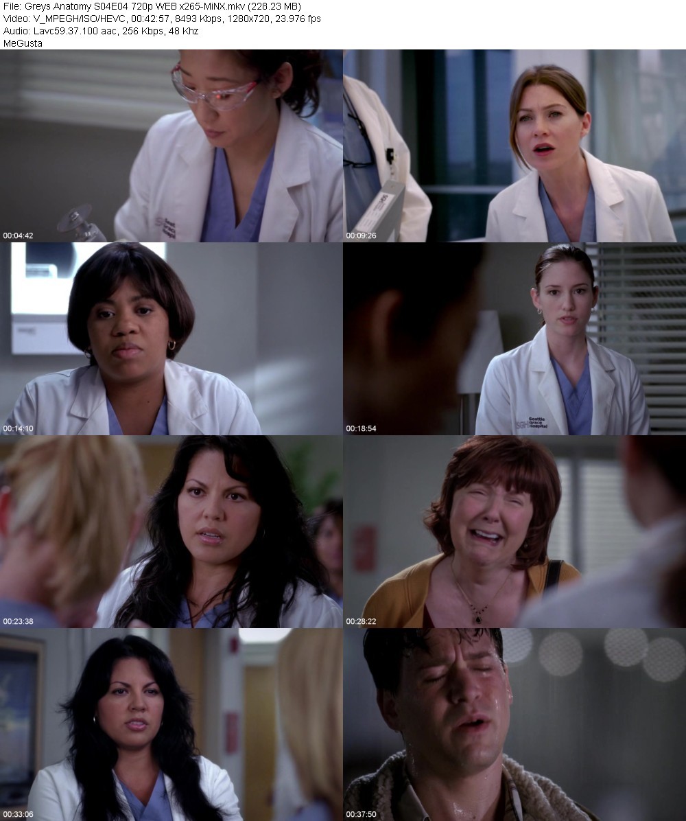 Greys Anatomy S04E04 720p WEB x265-MiNX