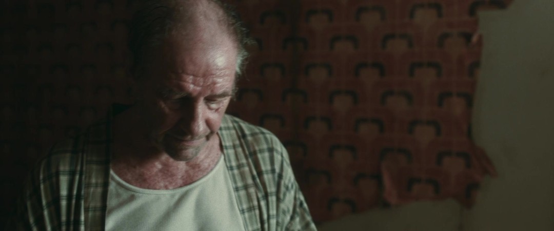 The Estate 2022 1080p AMZN WEB-DL DDP5 1 H 264-EVO The Estate 2022 1080p AMZN WEB-DL DDP5 1 H 264-EVO