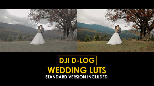 Dji Dlog Wedding Luts - VideoHive 50813006