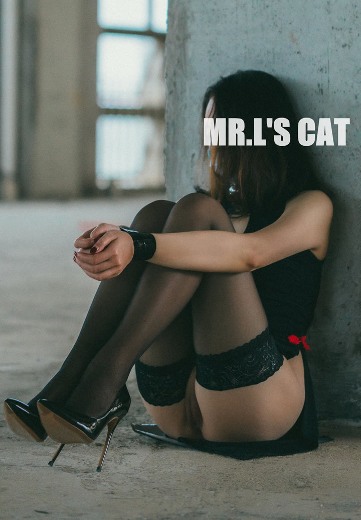 Miss Twitter Mr. L's Meow Outdoor Welfare Collection 18