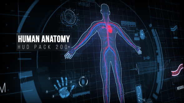 Human Anatomy HUD - VideoHive 22128440
