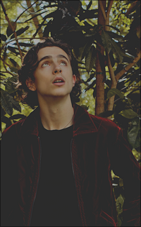 Timothée Chalamet Lchtrtwi_o