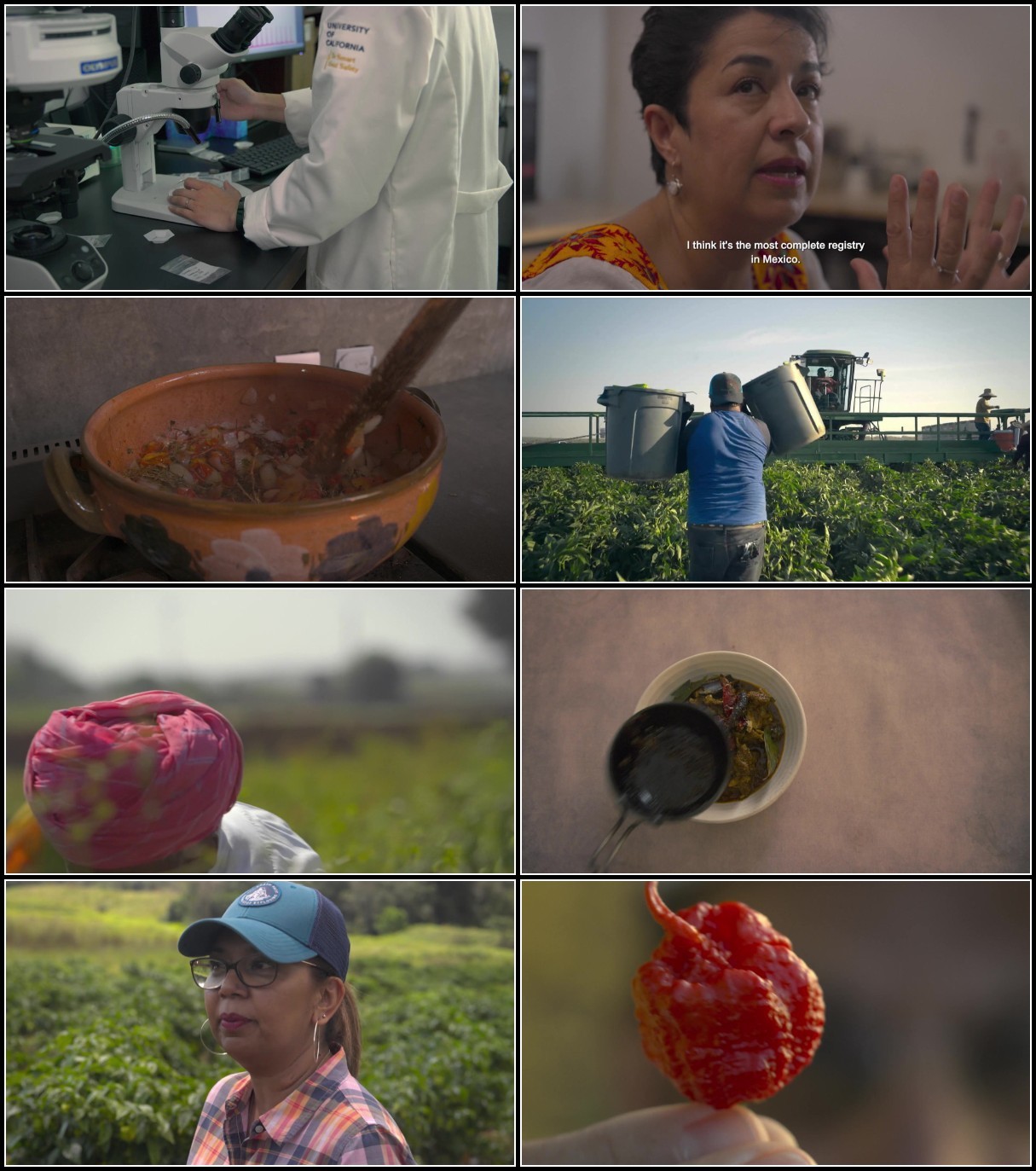 ZIKs7Tc0 o - Chiliheads (2021) ALTERNATIVE CUT 1080p WEBRip x264-CBFM