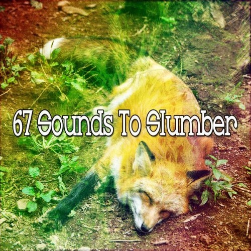 Relax musica zen club - 67 Sounds to Slumber - 2019