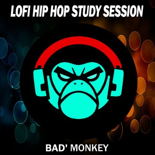 Lofi Hip Hop Study Session - Céleste - 2022
